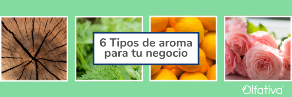 6 tipos de aromatizantes para negocios