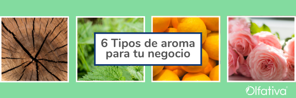 6 tipos de aromas para tu negocio