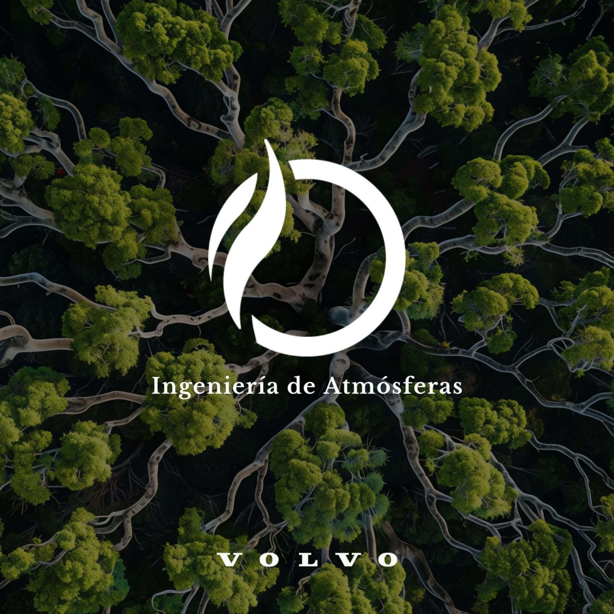  Olfativa y Volvo Branding sensorial de lujo 