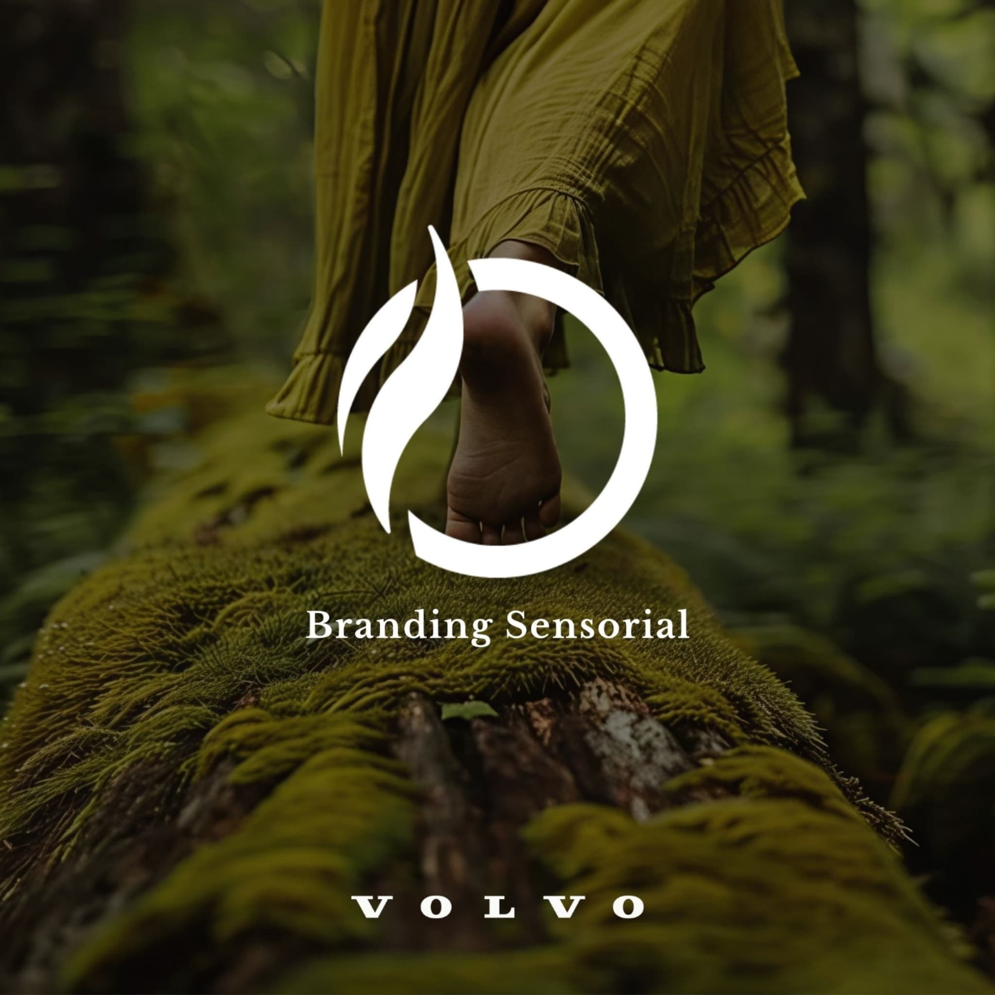 Olfativa y Volvo: Confort invisible y experiencia sensorial.