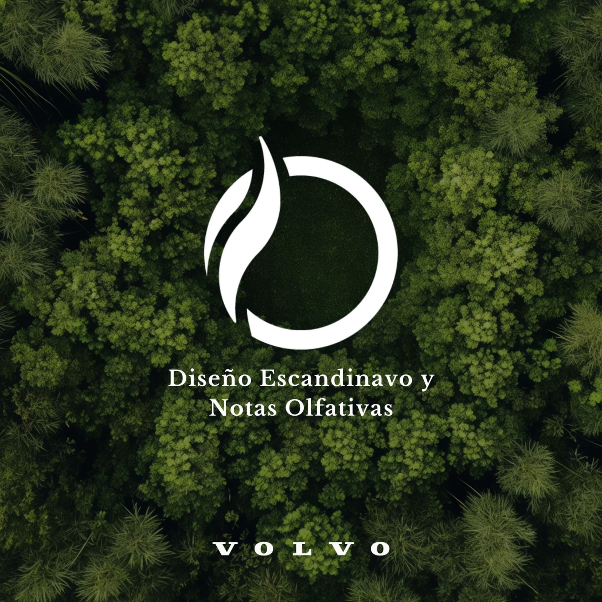 Olfativa y Volvo Integrando marketing olfativo y diseño escandinavo.