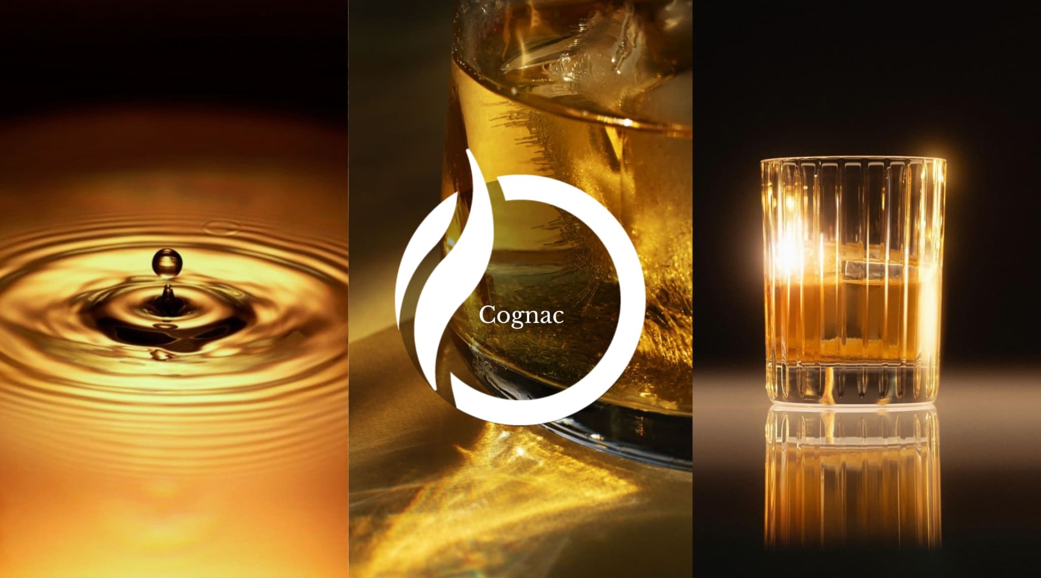 Notas Olfativas Cognac Centro de Inteligencia Sensorial