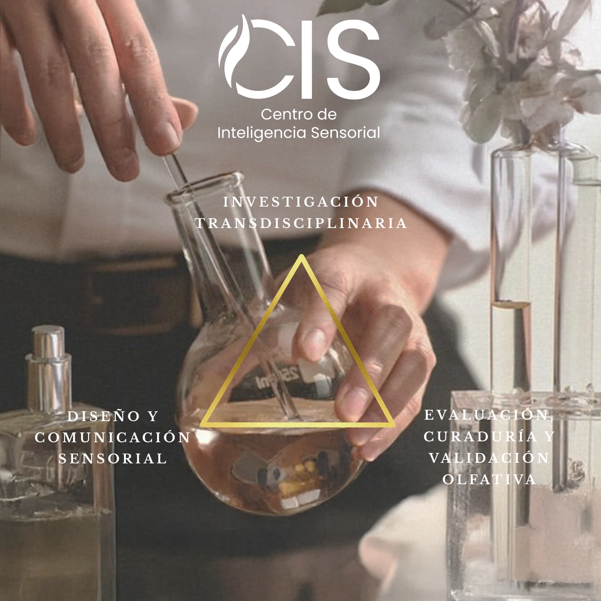 El aroma como lenguaje emocional del futuro, CIS 2025