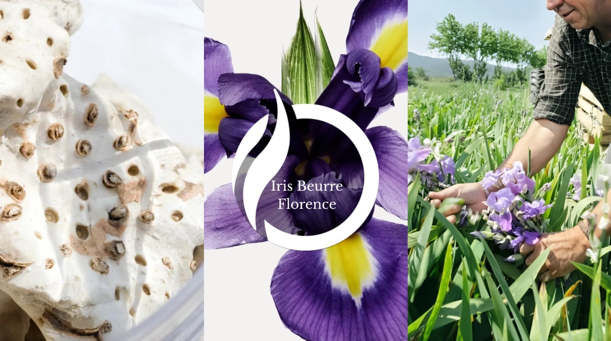 Notas Olfativas Iris Beurre Florence Centro de Inteligencia Sensorial